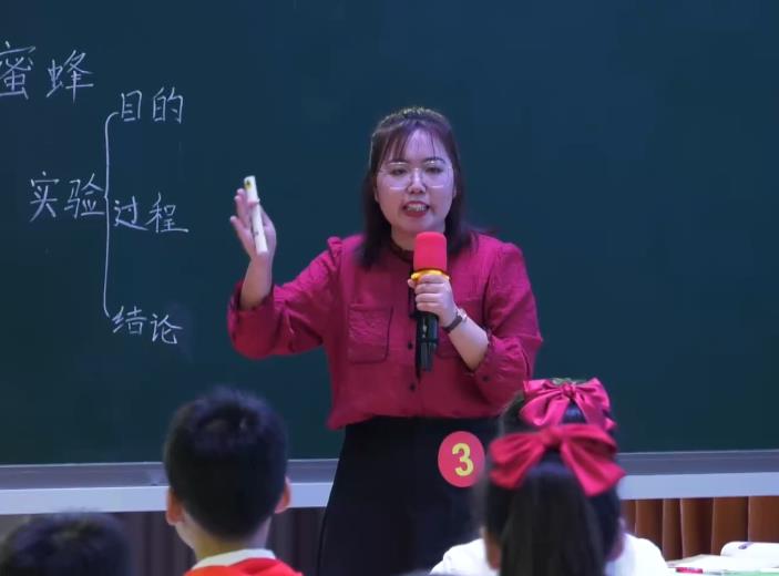 宿彩霞，《蜜蜂》，三年级下册，第四单位
