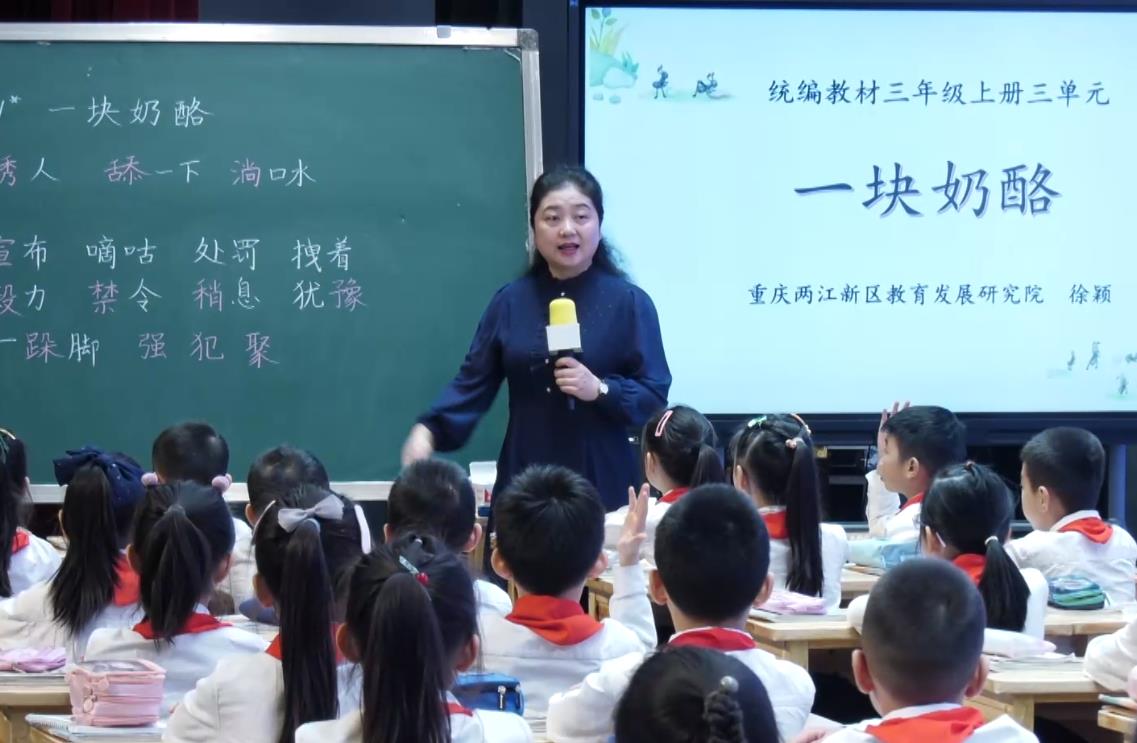 徐颖《一块奶酪》，三年级上册