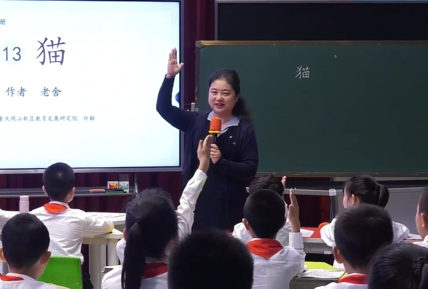 徐颖，《猫》，四年级下册，第四单元